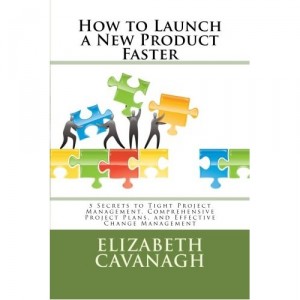 How to Launch a New Product Faster Project Management Project Manager Change Management